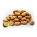 frieslanders frieslanders